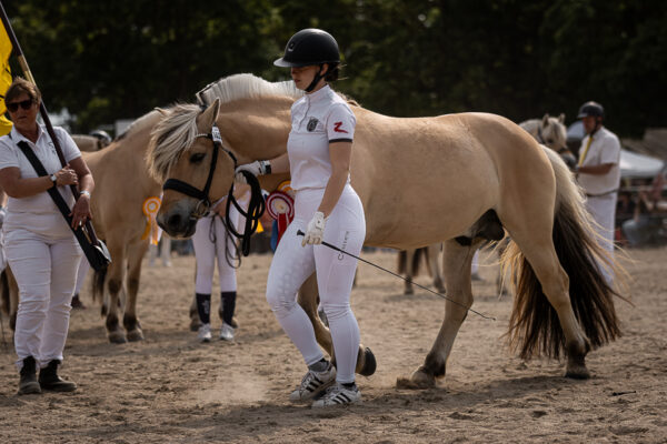 MG_6952-2