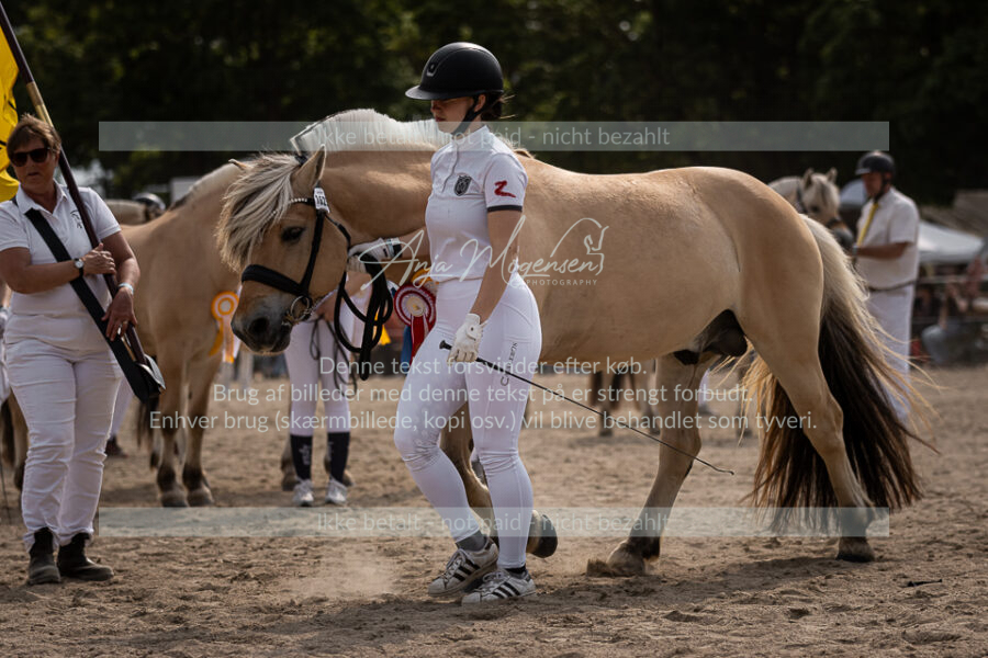 MG_6952-2