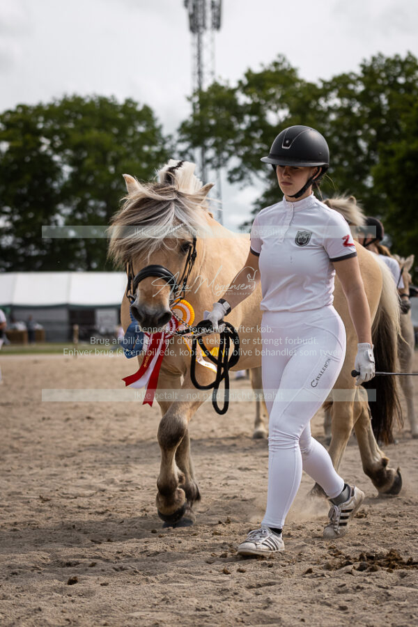 MG_6965-2