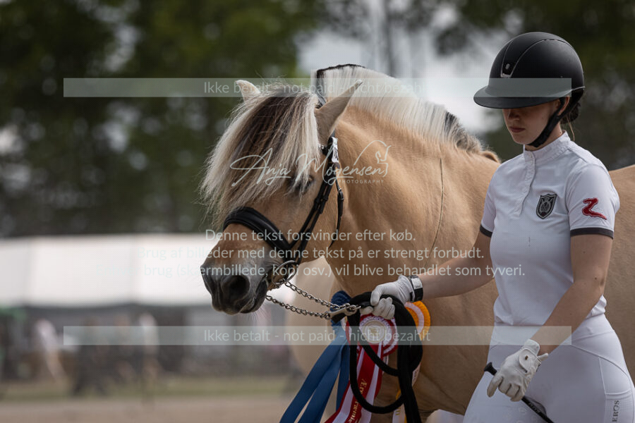 MG_6996-2