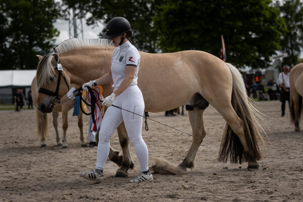 MG_7034-2