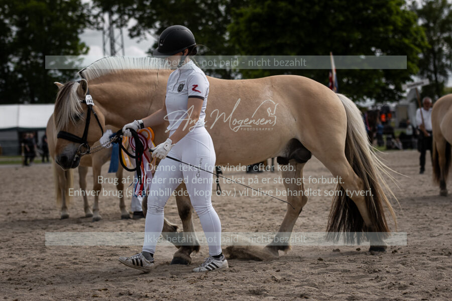 MG_7034-2