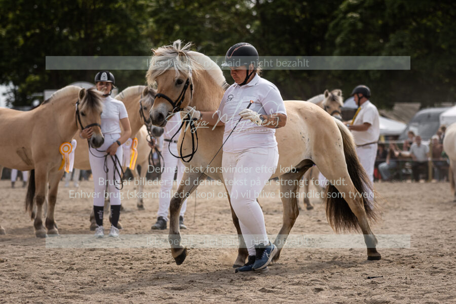 MG_6958-2
