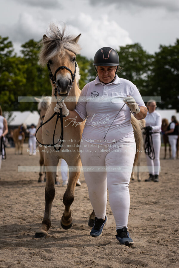 MG_6982-2