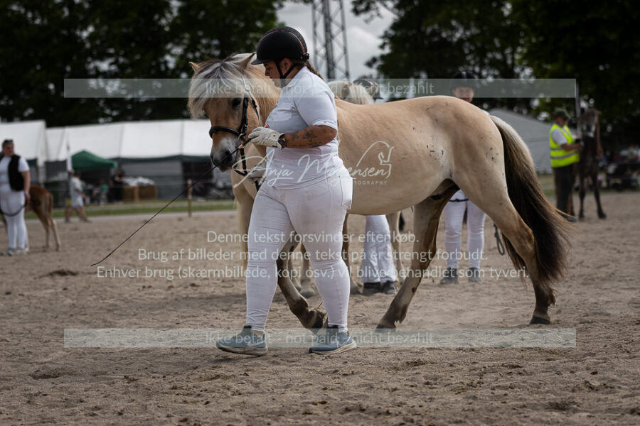 MG_7039-2