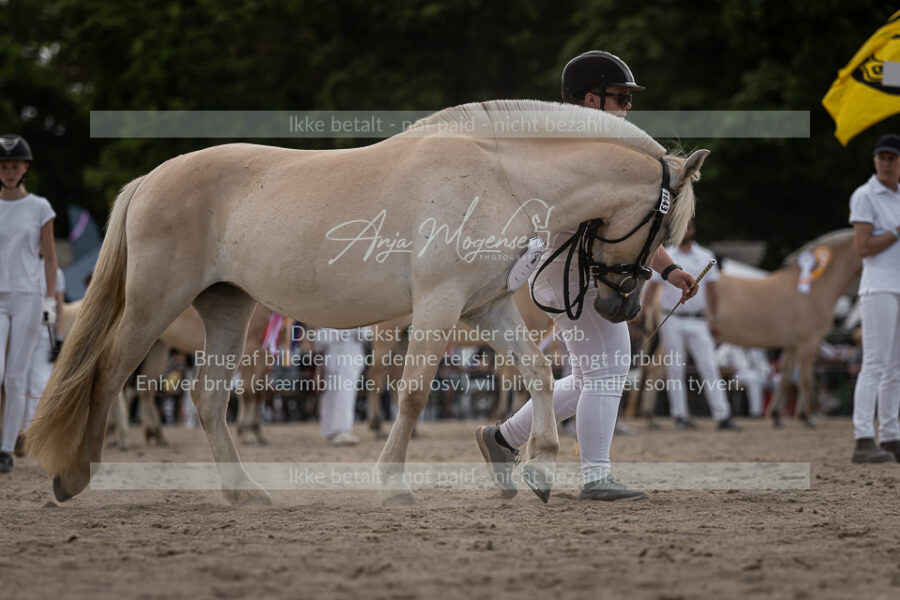 MG_7286-2