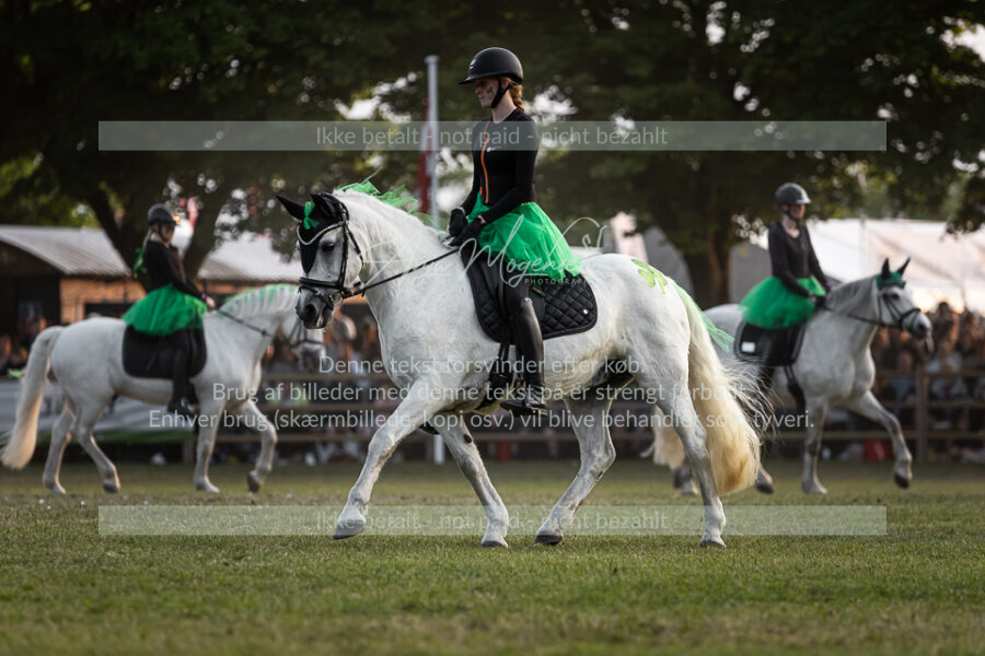 MG_5884