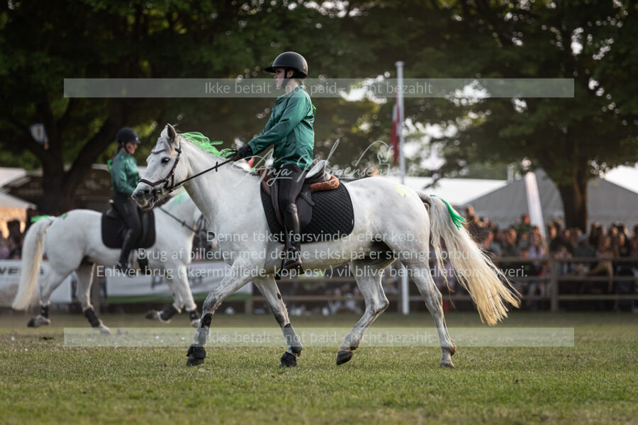 MG_5903