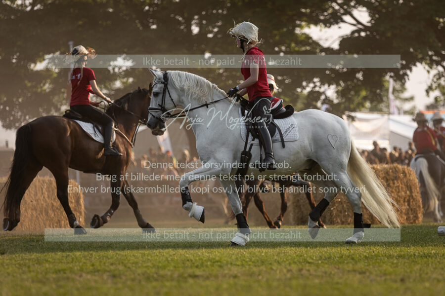 MG_2018
