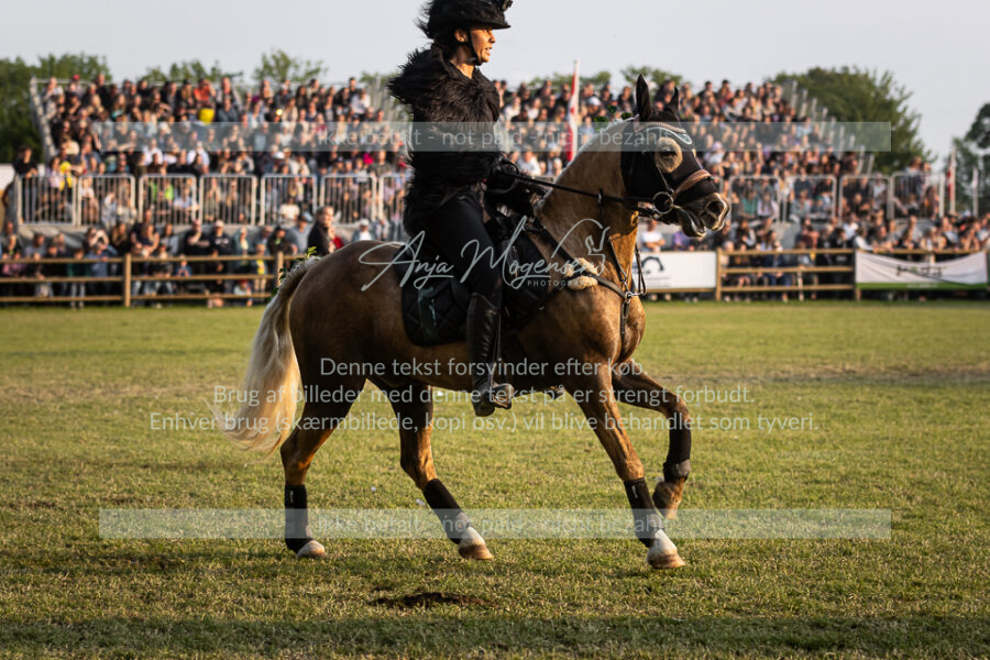 MG_2486