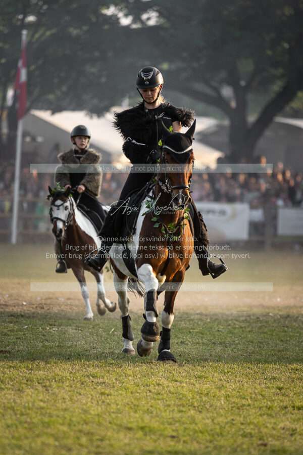 MG_2535