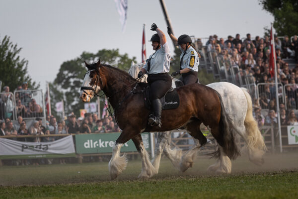 MG_5669