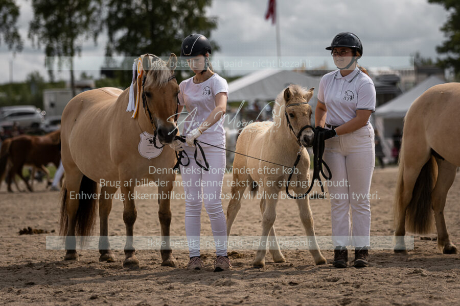 MG_6924-2