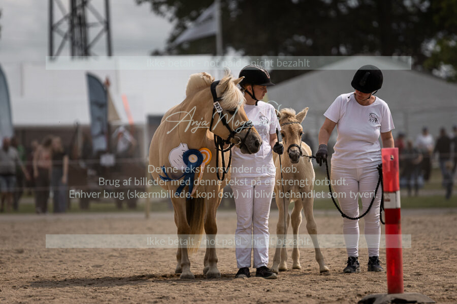 MG_6852-2
