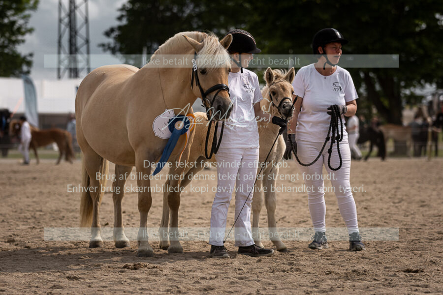 MG_6921-2