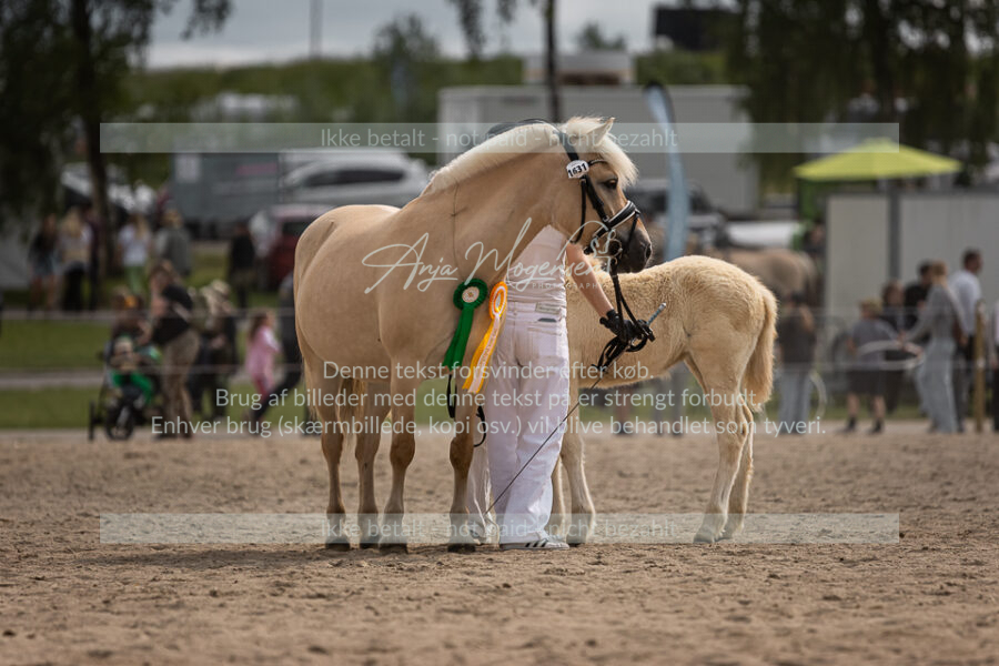 MG_6859-2