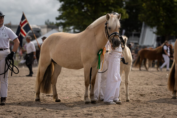 MG_6928-2