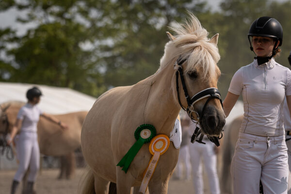 MG_7179-2