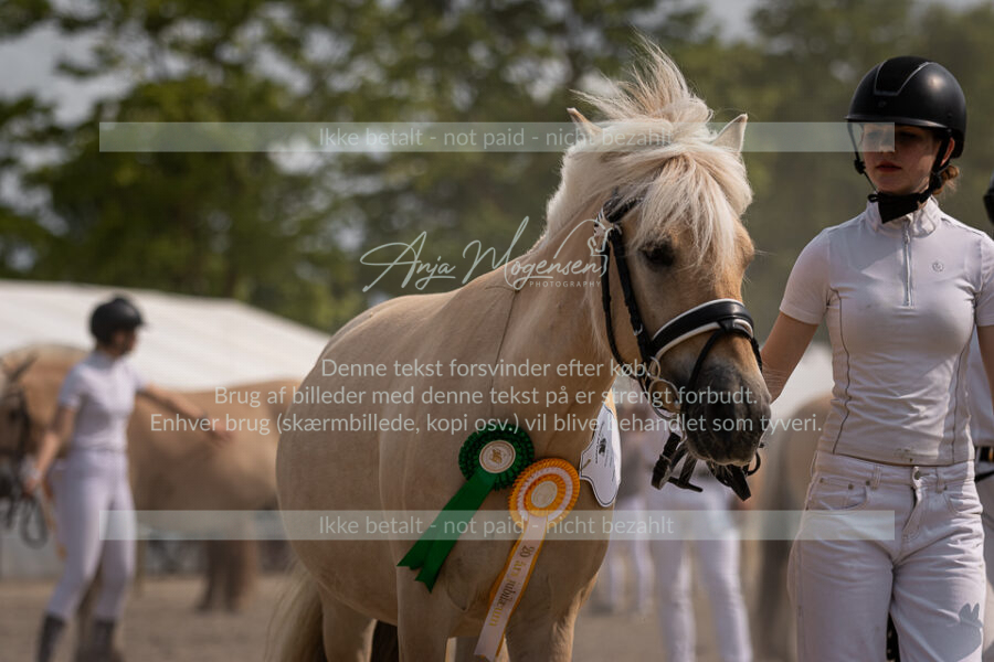 MG_7179-2