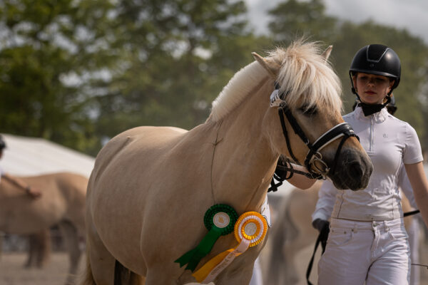 MG_7184-2