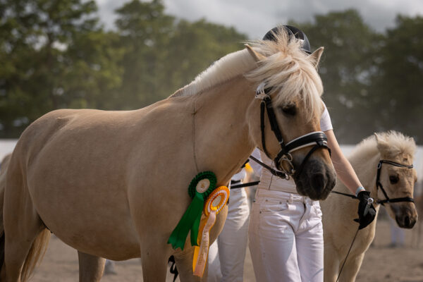 MG_7189-2