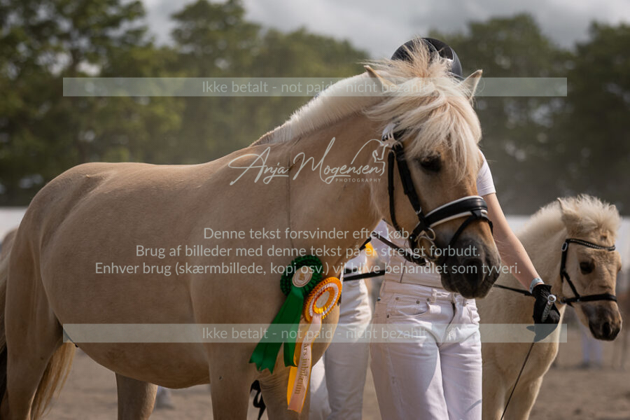 MG_7189-2
