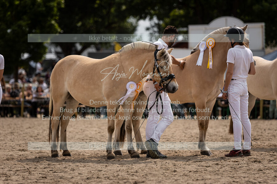 MG_6909-2