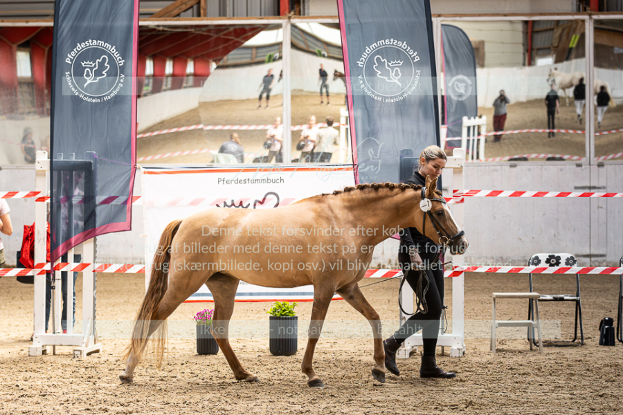 MG_8416-Enhanced-NR-1