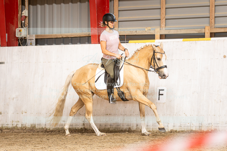 MG_8132-Enhanced-NR