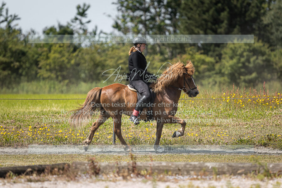 MG_5996