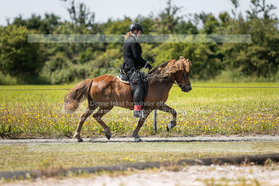 MG_6018