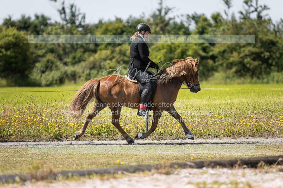 MG_6019