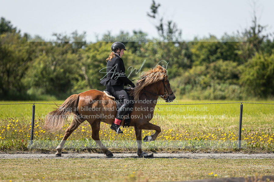 MG_6084