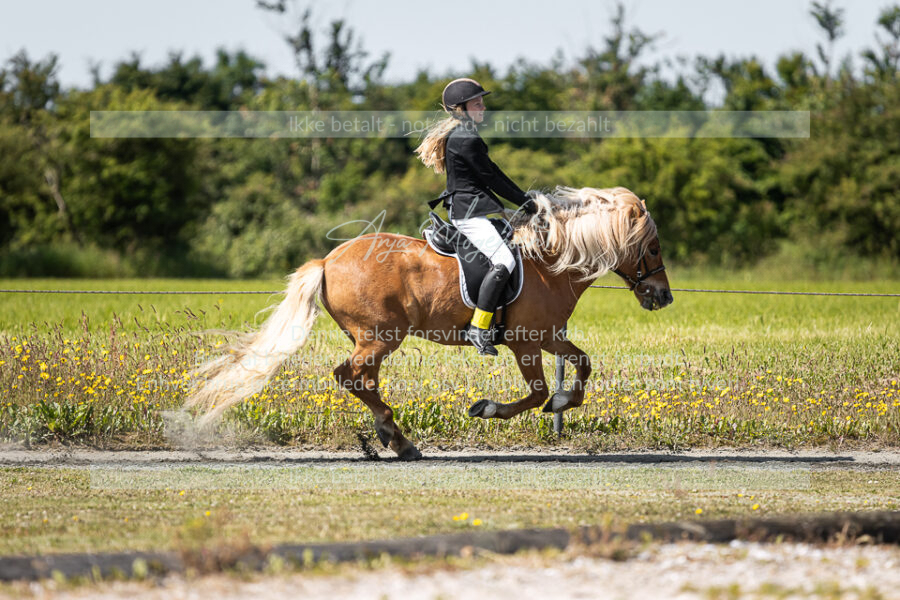 MG_5075