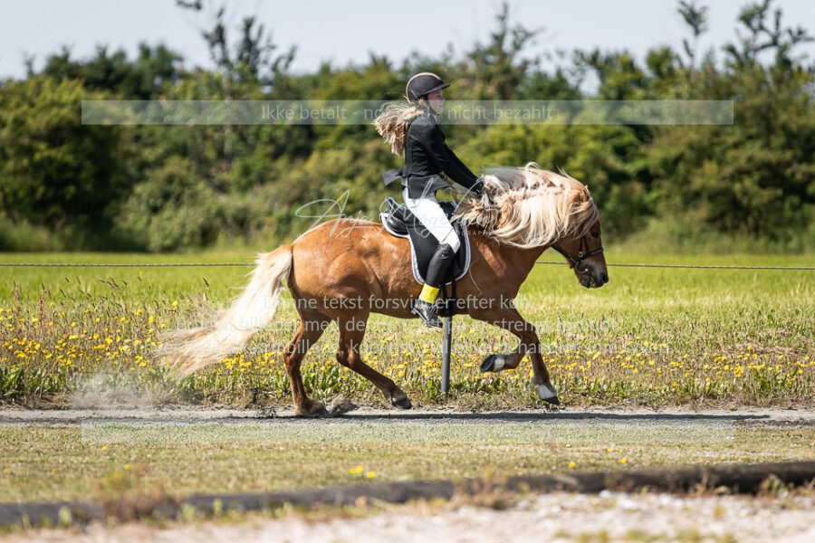 MG_5076