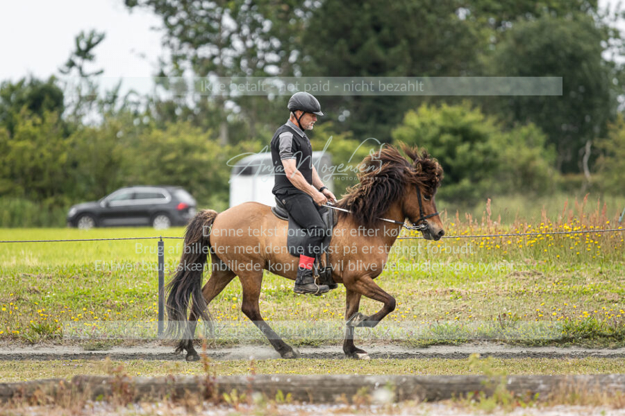 MG_2617