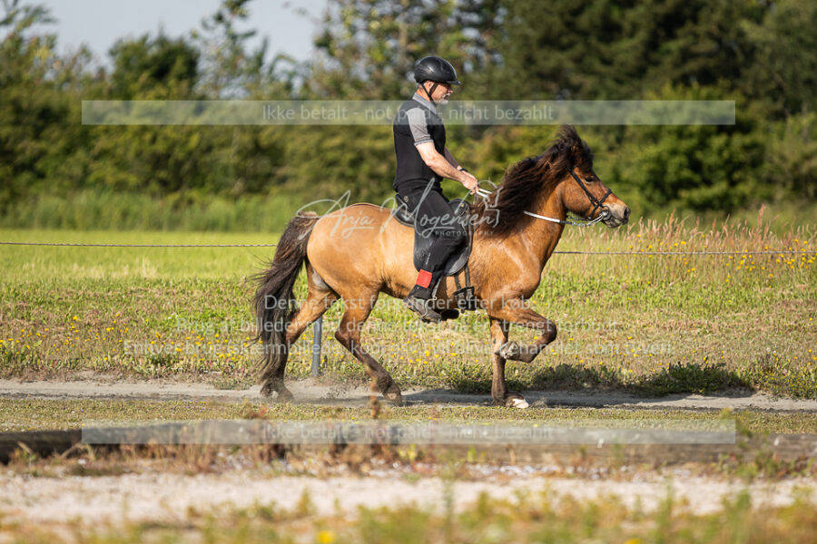 MG_9761