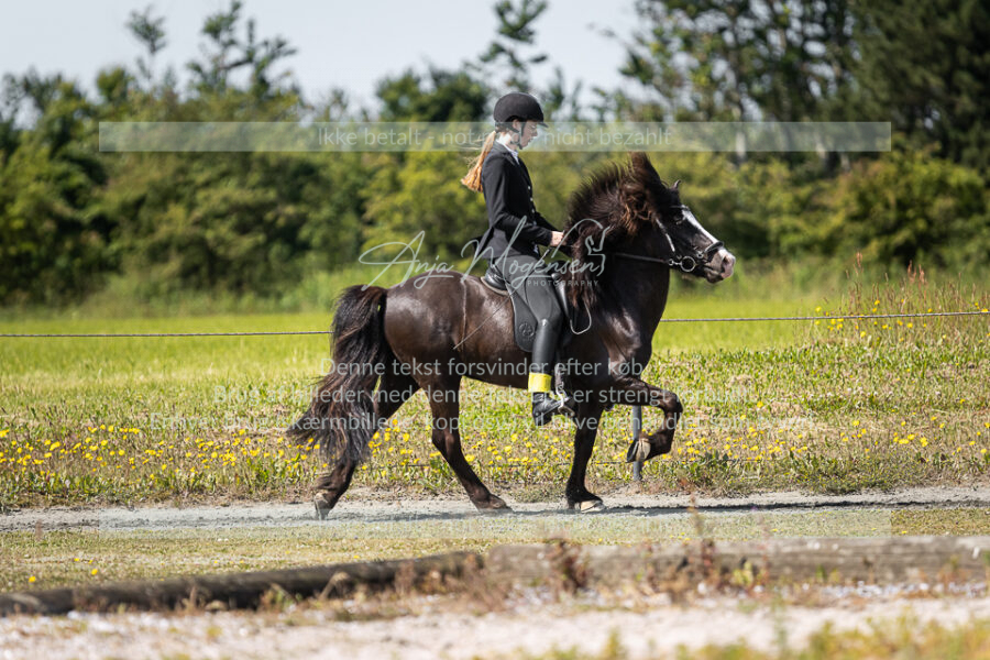 MG_5605
