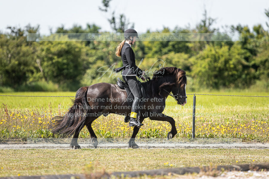 MG_5655