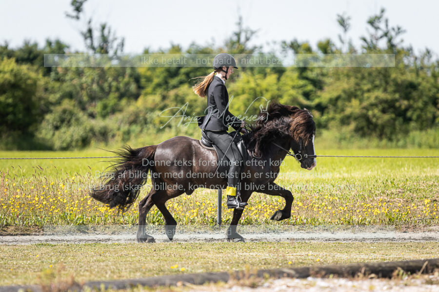 MG_5659