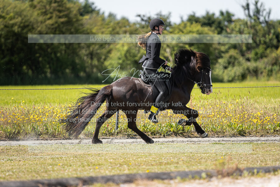 MG_5684