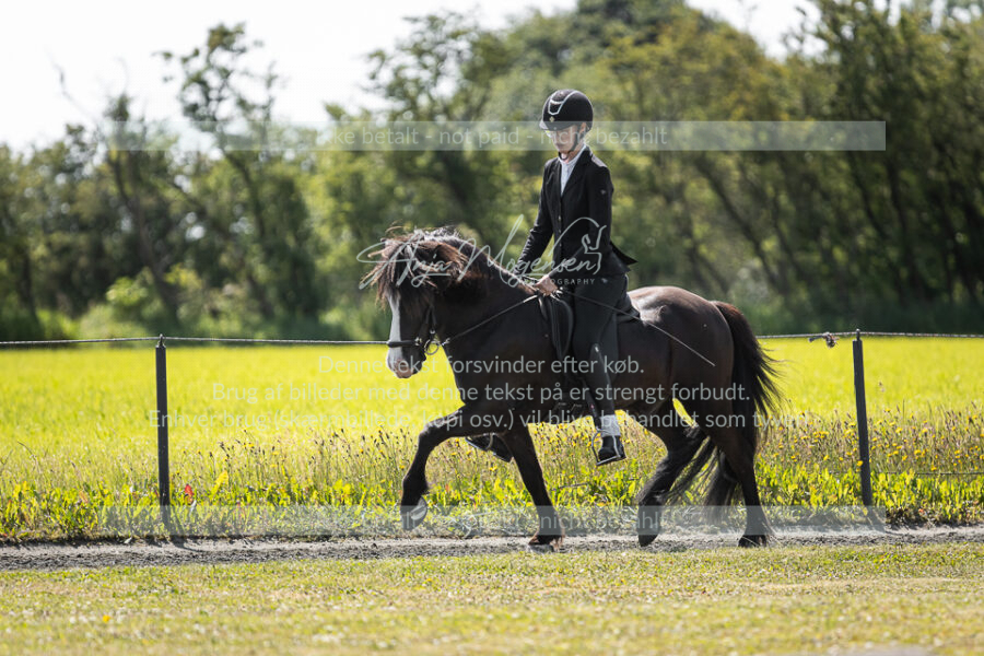 MG_7641