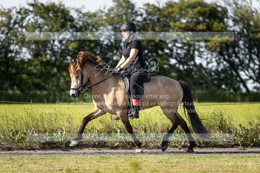 MG_3209