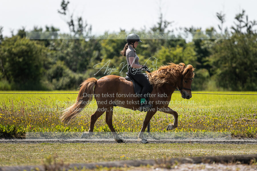 MG_7386
