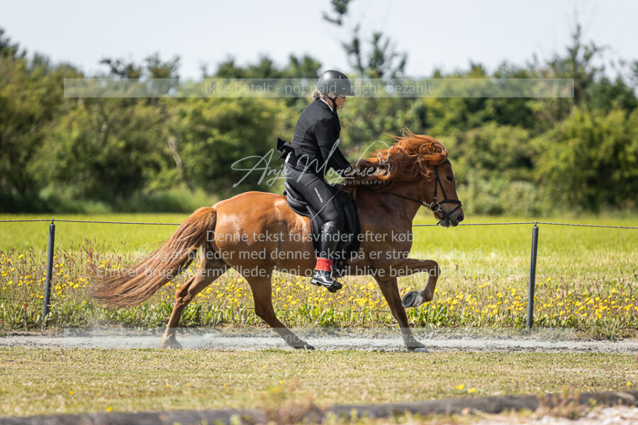 MG_5705