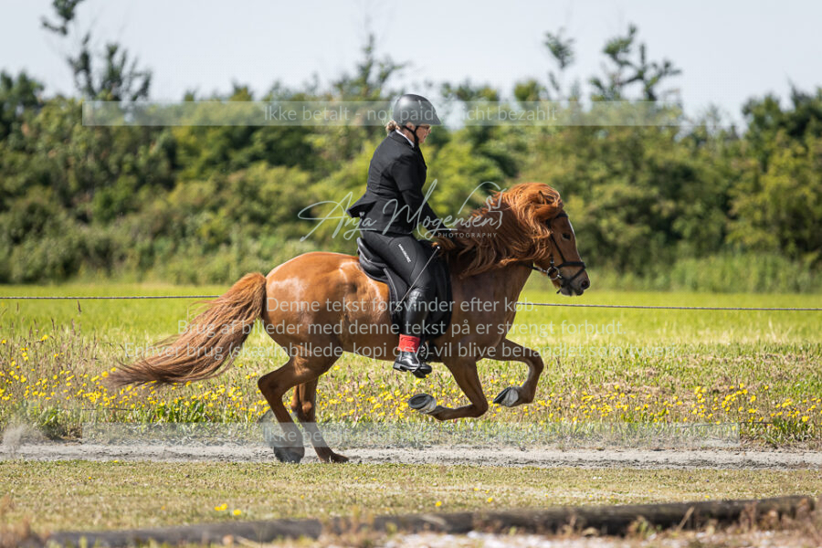 MG_5710
