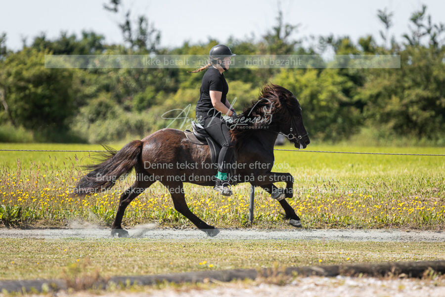 MG_6039