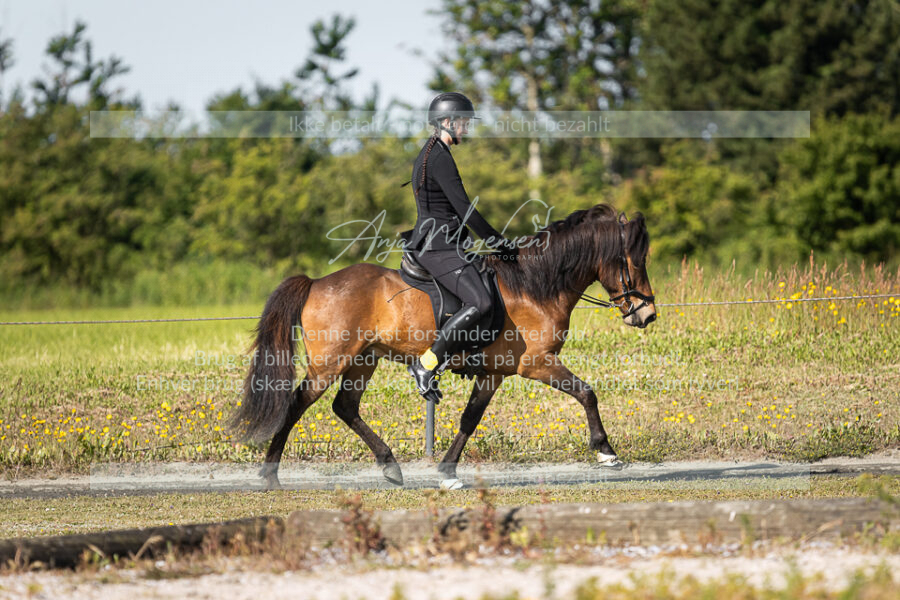 MG_3876