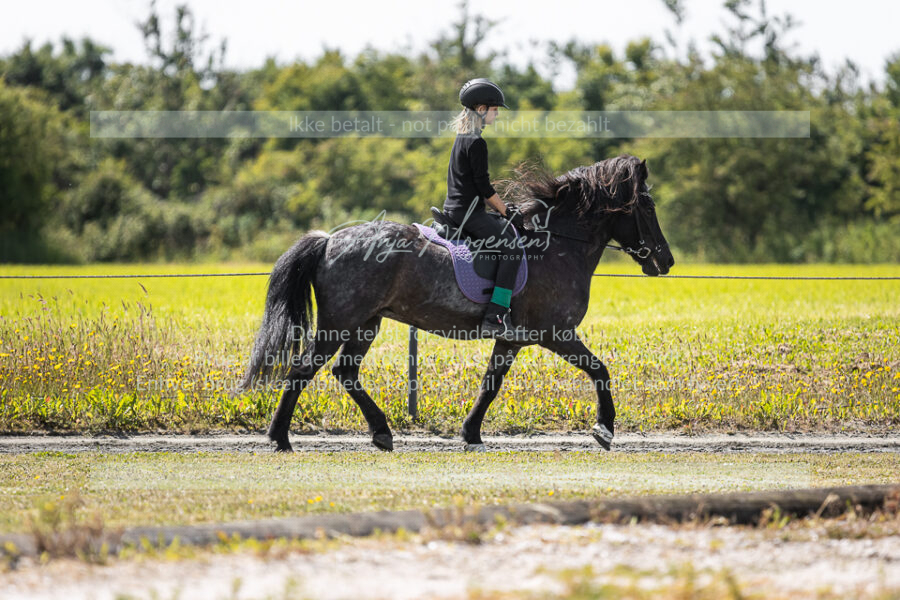 MG_7215