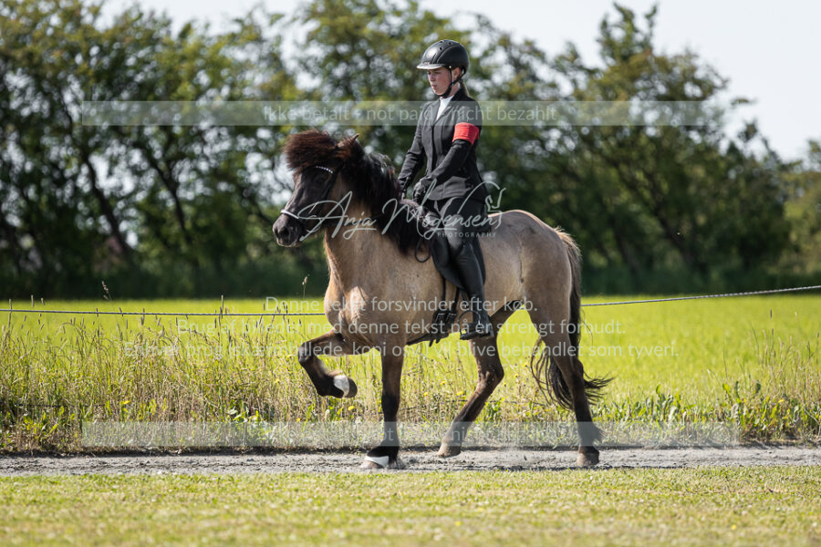MG_5452